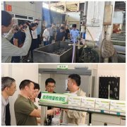 <b>山镇熊农资连锁店</b>