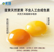 <b><b>这取黄天鹅其持久对外宣传的“不含人工合成色</b></b>